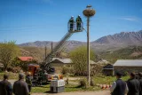 Bitlis Güroymak'ta yaralı leylek ve yavruları itfaiye tarafından kurtarıldı