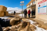 Erzurum'da kene vakalarında artış: 48 başvuru, 2 can kaybı