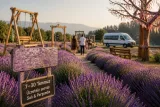Kemer'de Gedelme Yaylası’nda 'mor turizm' dönemi başlıyor
