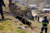 Kovancılar'da uçurum kenarına yuvarlanan inek İl Özel İdaresi ekiplerince kurtarıldı