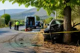 Ödemiş'te otomobilin ağaca çarpması: 25 yaşındaki genç yaşamını yitirdi