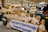 Taşköprü'de sezonun ilk 'beyaz altın' pazarı kuruluyor