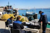Tekirdağ genelinde su ürünleri denetimleri sürüyor: Amaç kaçak avcılığı engellemek ve sürdürülebilirlik sağlamak