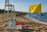 Yalova sahillerinde bazı popüler plajlarda su kalitesi düştü, yetkililer incelemeyi sürdürüyor