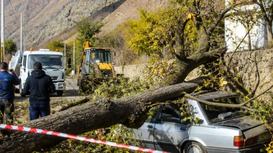 Çukurca'da ceviz ağacı aracın üzerine devrildi: yetkililerden ve vatandaşlardan ilk tepkiler