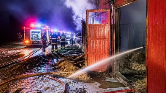 Kırklareli'de çiftlik yangını söndürüldü — Çiftliklerde alınacak önlemler ön plana çıktı