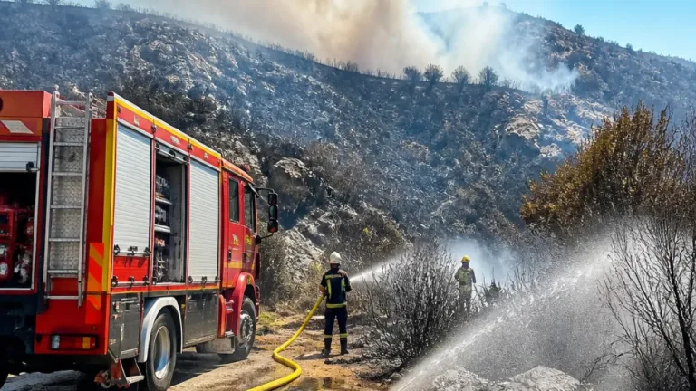 Bursa Kestel’deki orman yangını ekiplerin müdahalesiyle kontrol altına alındı