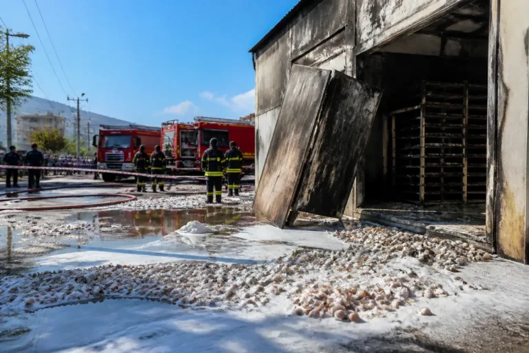 İnegöl Edebey Mahallesi'nde yumurta deposunda yangın: Depo kullanılamaz hale geldi