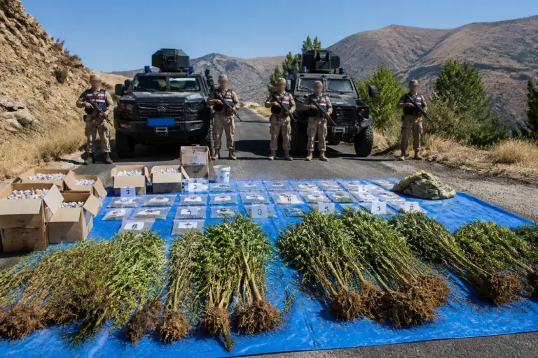 Jandarma 26 Haziran–3 Temmuz’da 4 kişiyi tutukladı, on binlerce kenevir ele geçirildi