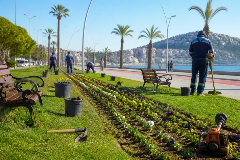 Kuşadası'nda park ve refüjlerde kapsamlı bakım çalışmaları tamamlandı